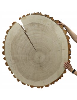 PLASTER DREWNA TOPOLI BLAT NA STOLIK KAWOWY 090505