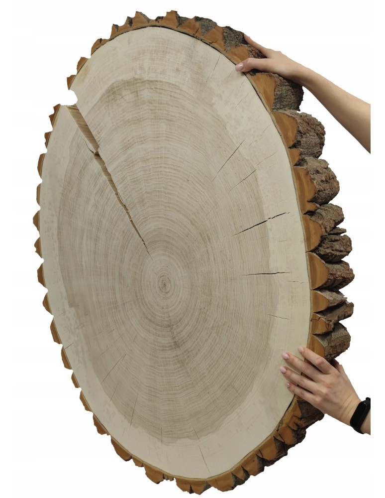 Plastry Okrągłe - PLASTER DREWNA TOPOLI BLAT NA STOLIK KAWOWY 090505 - produkt b2b.wamar.biz 2