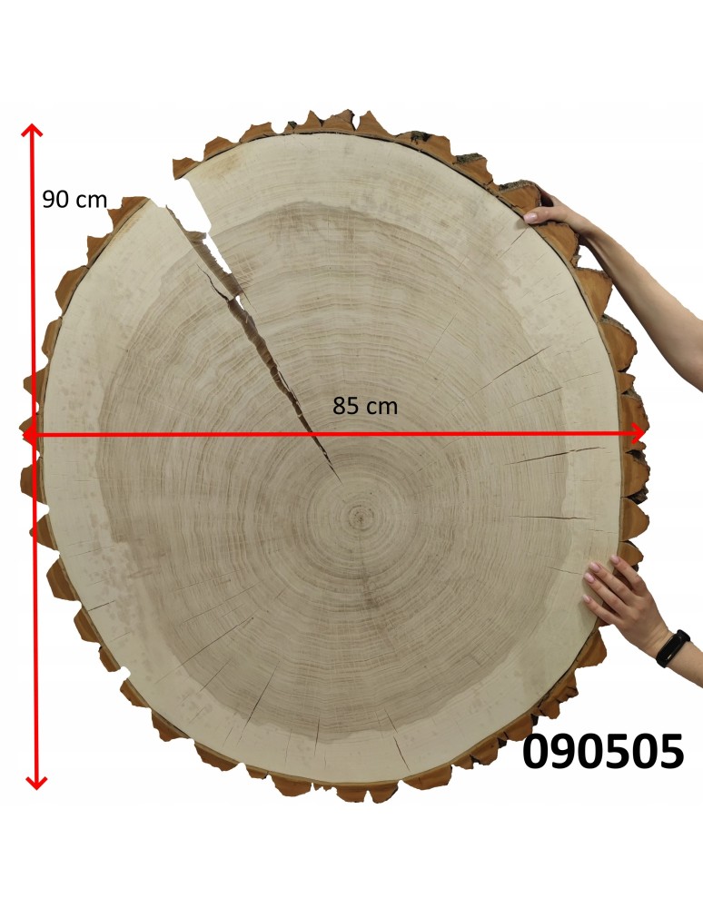 Plastry Okrągłe - PLASTER DREWNA TOPOLI BLAT NA STOLIK KAWOWY 090505 - produkt b2b.wamar.biz 3