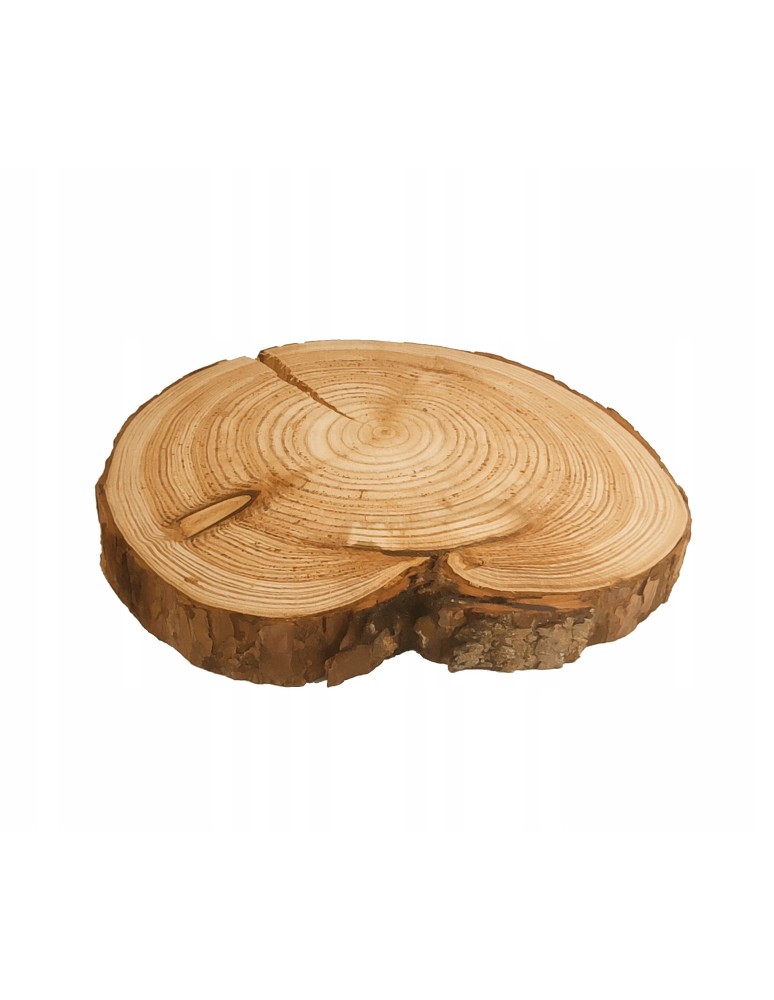 Plastry Okrągłe - UNIKATOWY PLASTER MODRZEWIA 25-30cm Z KORĄ 132258 - product b2b.wamar.biz 2