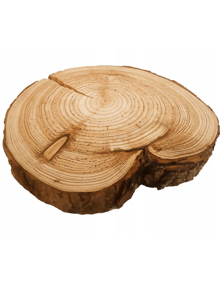 Plastry Okrągłe - UNIKATOWY PLASTER MODRZEWIA 25-30cm Z KORĄ 132258 - product b2b.wamar.biz 4