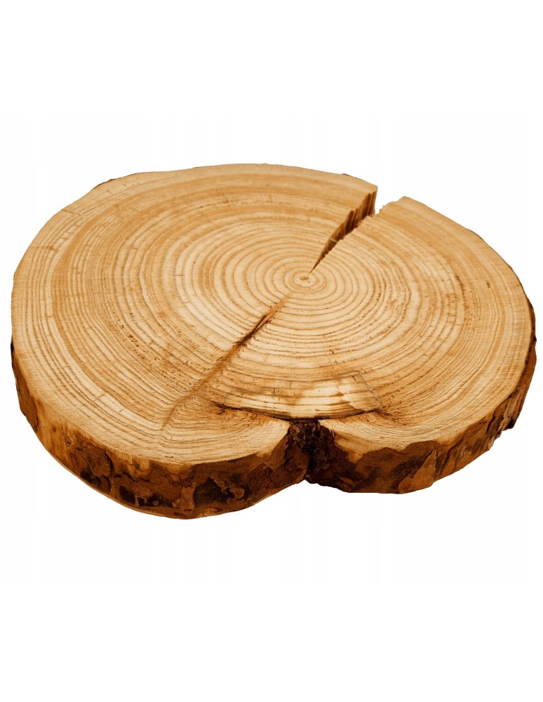 Plastry Okrągłe - KRĄŻEK DREWNA MODRZEW 30-35 cm bez kory 133133 - product b2b.wamar.biz 10