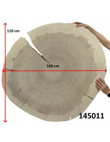 Plastry Okrągłe - PLASTER DREWNA TOPOLI BLAT NA STOLIK KAWOWY 145011 - product 12