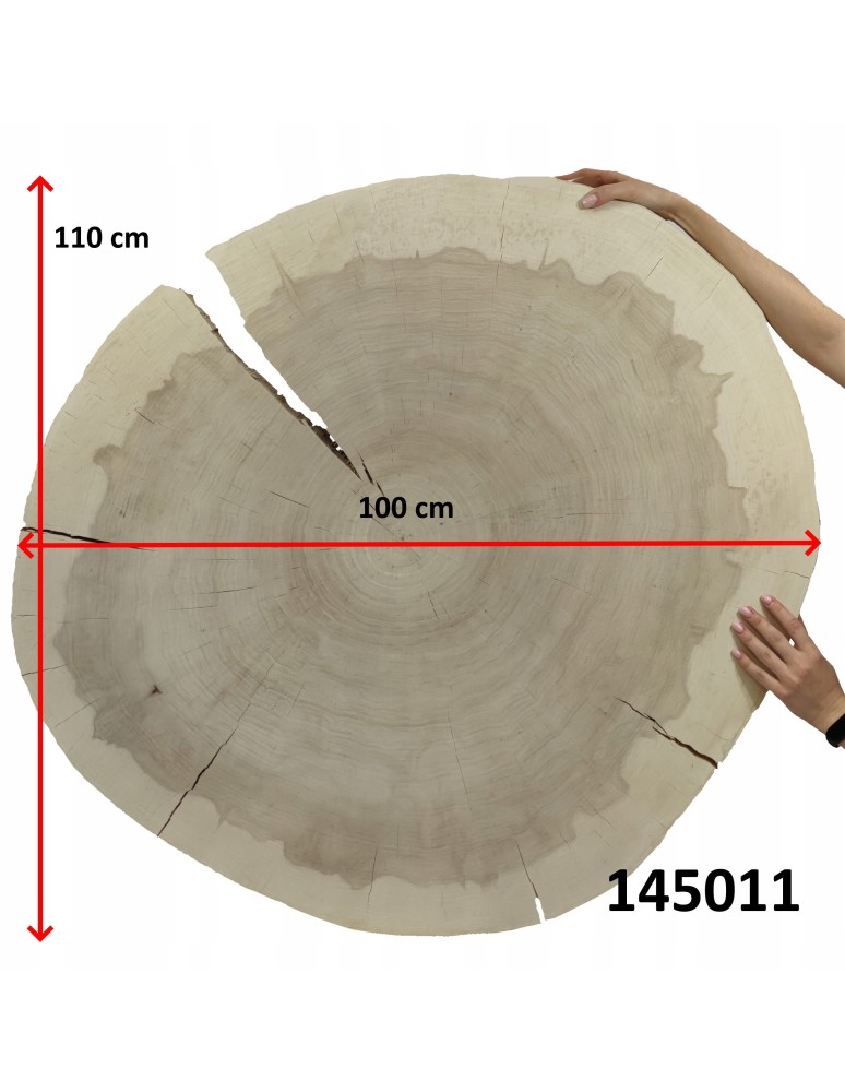 Plastry Okrągłe - PLASTER DREWNA TOPOLI BLAT NA STOLIK KAWOWY 145011 - product b2b.wamar.biz 12