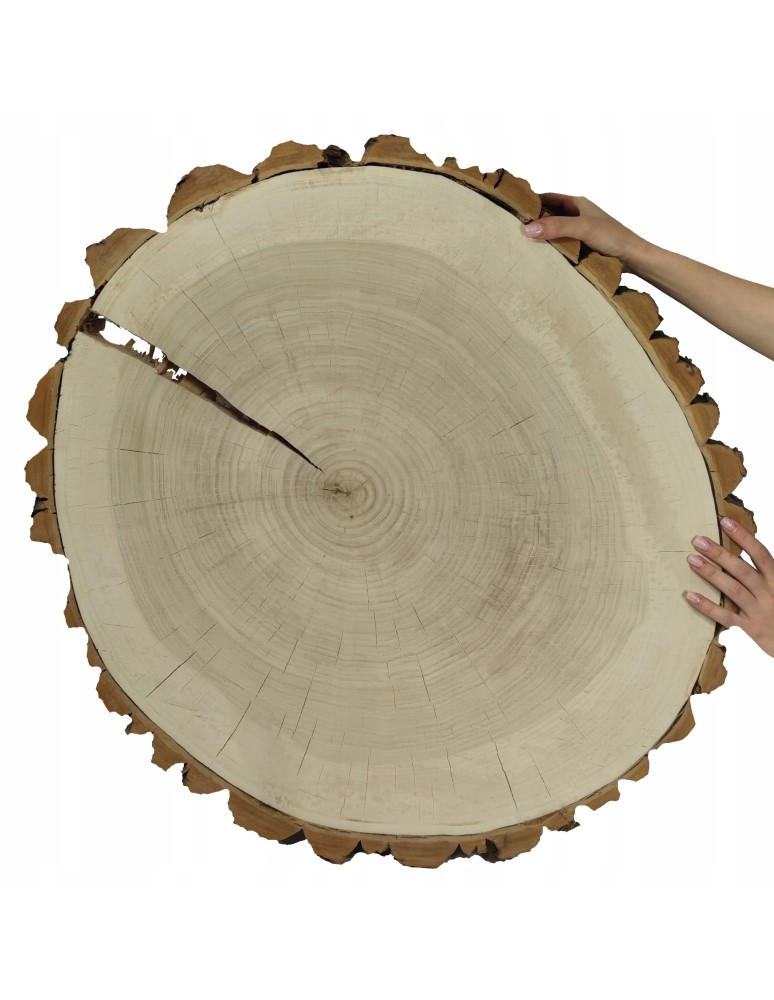 Plastry Okrągłe - PLASTER DREWNA TOPOLI BLAT na stolik kawowy 144441 - product b2b.wamar.biz 1