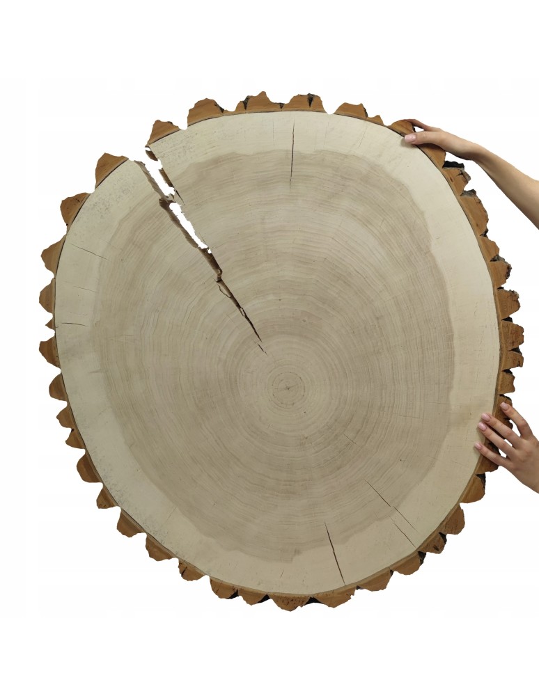 Plastry Okrągłe - PLASTER DREWNA TOPOLI BLAT NA STOLIK KAWOWY 092803 - product b2b.wamar.biz 1