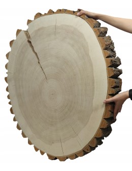 PLASTER DREWNA TOPOLI BLAT NA STOLIK KAWOWY 092803 - product 2