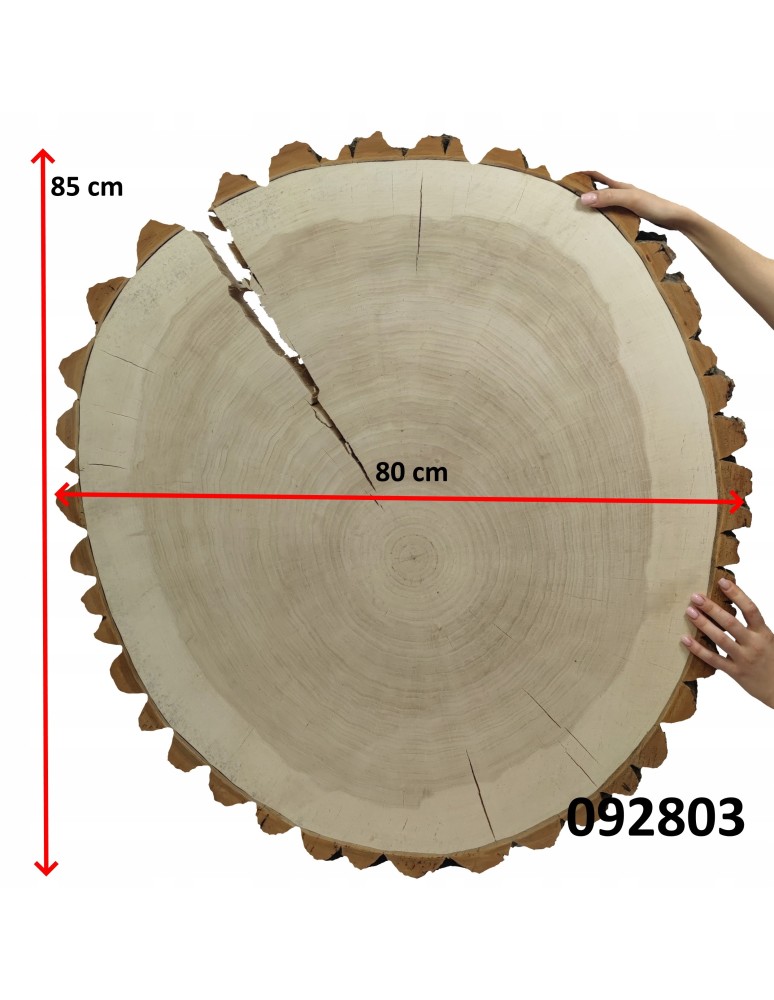 Plastry Okrągłe - PLASTER DREWNA TOPOLI BLAT NA STOLIK KAWOWY 092803 - produkt b2b.wamar.biz 3