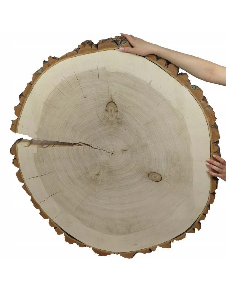 Plastry Okrągłe - PLASTER DREWNA TOPOLI BLAT NA STOLIK KAWOWY 092151 - product b2b.wamar.biz 1