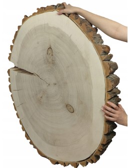 PLASTER DREWNA TOPOLI BLAT NA STOLIK KAWOWY 092151 - product 2