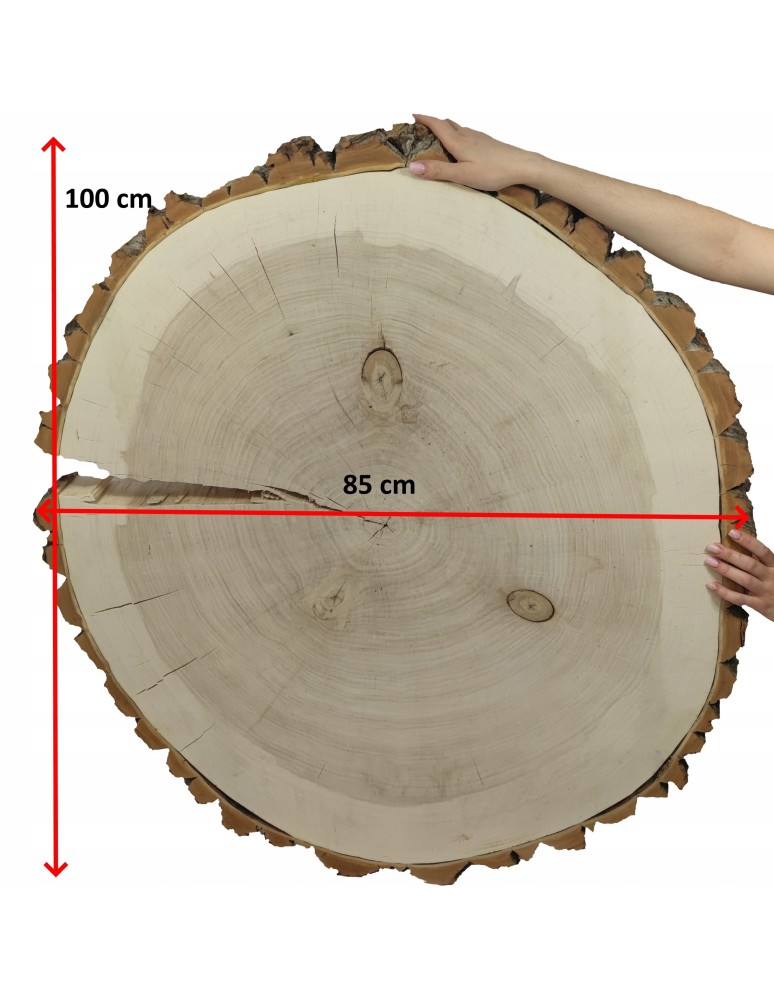 Plastry Okrągłe - PLASTER DREWNA TOPOLI BLAT NA STOLIK KAWOWY 092151 - product b2b.wamar.biz 3