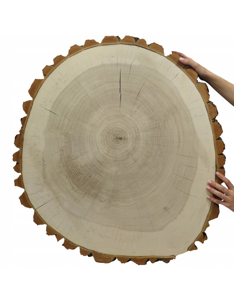 Plastry Okrągłe - PLASTER DREWNA TOPOLI BLAT NA STOLIK KAWOWY 091653 - product b2b.wamar.biz 1