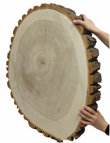 PLASTER DREWNA TOPOLI BLAT NA STOLIK KAWOWY 091653 - product 2