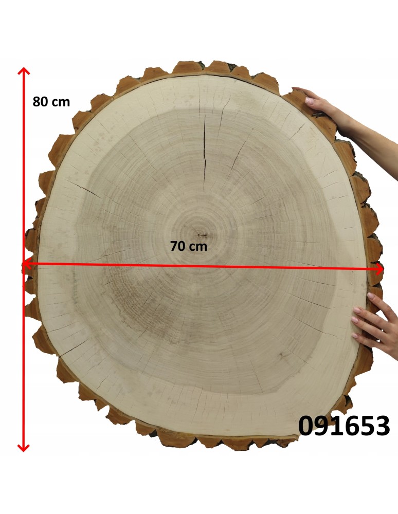 Plastry Okrągłe - PLASTER DREWNA TOPOLI BLAT NA STOLIK KAWOWY 091653 - produkt b2b.wamar.biz 3