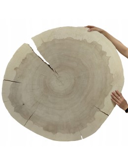 PLASTER DREWNA TOPOLI BLAT NA STOLIK KAWOWY 145011