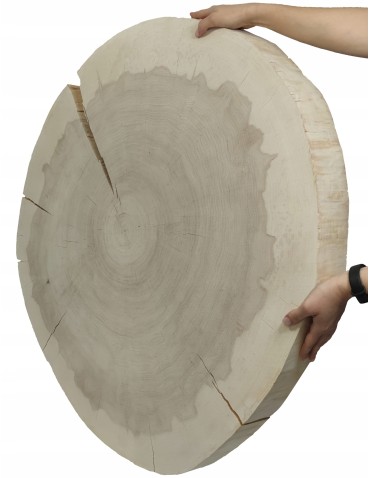 Plastry Okrągłe - PLASTER DREWNA TOPOLI BLAT NA STOLIK KAWOWY 145011 - produkt 13