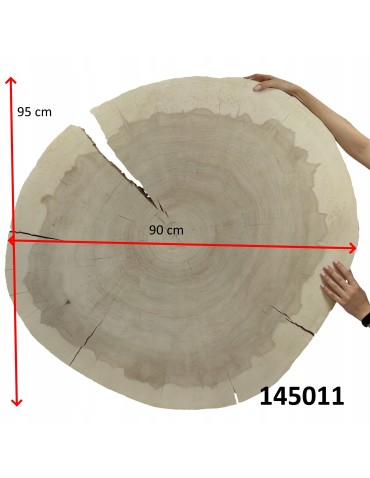 Plastry Okrągłe - PLASTER DREWNA TOPOLI BLAT NA STOLIK KAWOWY 145011 - produkt 14