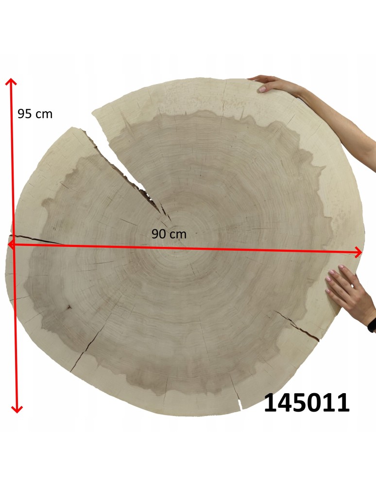 Plastry Okrągłe - PLASTER DREWNA TOPOLI BLAT NA STOLIK KAWOWY 145011 - produkt b2b.wamar.biz 14