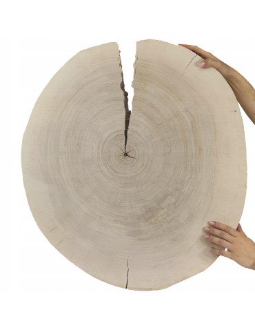 PLASTER DREWNA TOPOLI BLAT UNIKAT 143729