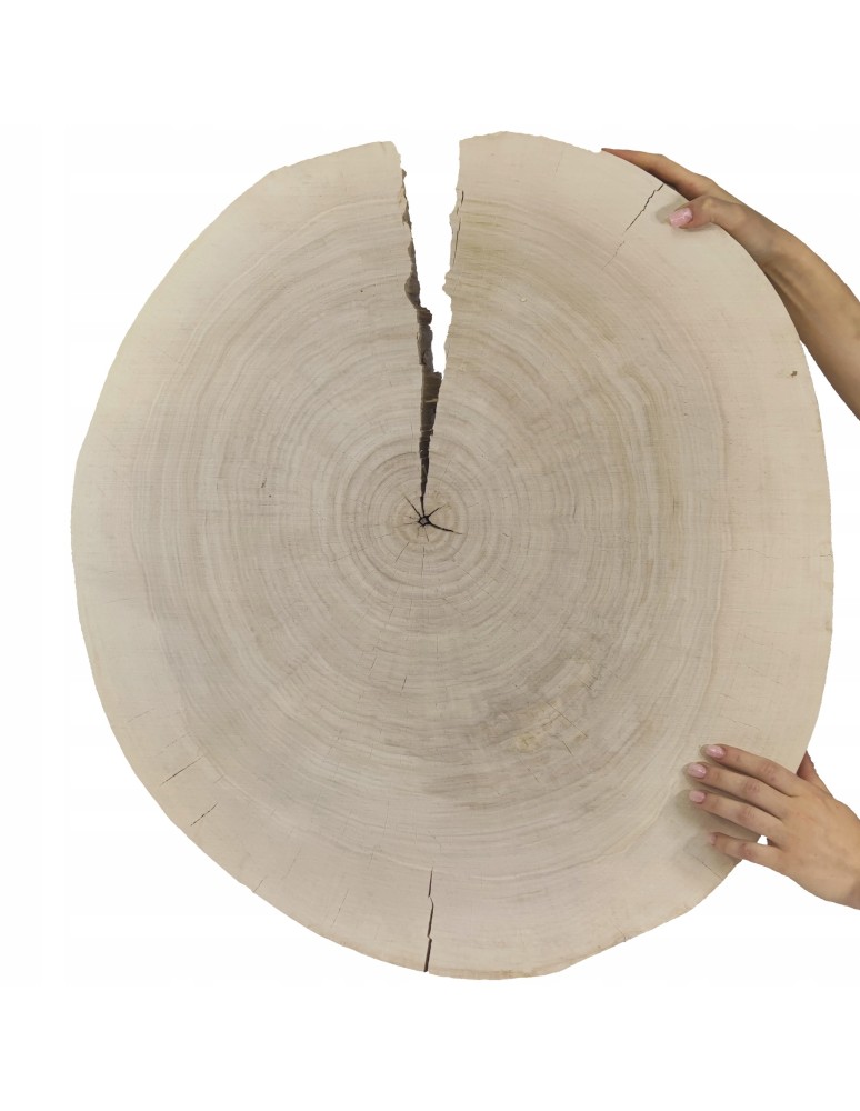Plastry Okrągłe - PLASTER DREWNA TOPOLI BLAT UNIKAT 143729 - product b2b.wamar.biz 1