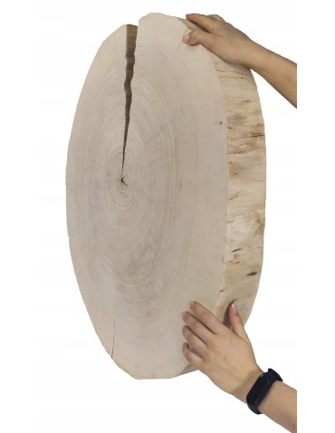 PLASTER DREWNA TOPOLI BLAT UNIKAT 143729 - produkt 2