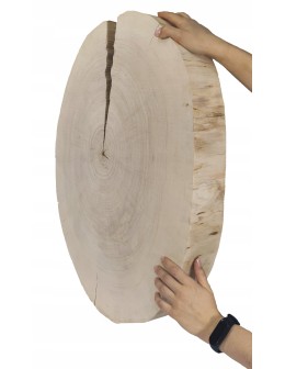 PLASTER DREWNA TOPOLI BLAT UNIKAT 143729 - product 2