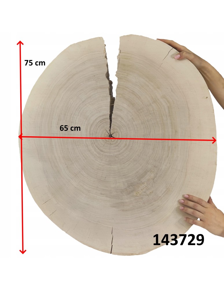 Plastry Okrągłe - PLASTER DREWNA TOPOLI BLAT UNIKAT 143729 - product b2b.wamar.biz 3