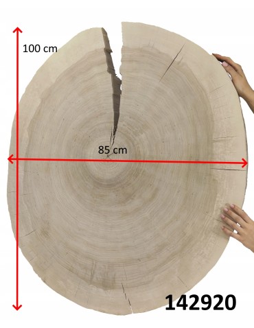 PLASTER DREWNA TOPOLI BLAT UNIKAT 142920 - product 2