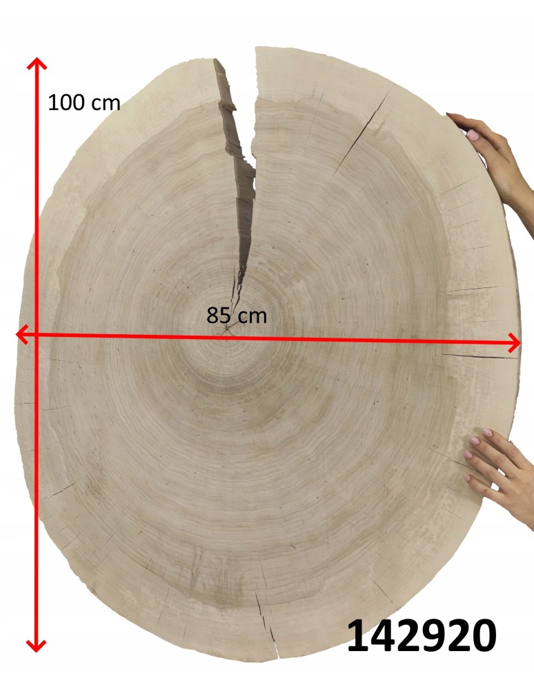 Plastry Okrągłe - PLASTER DREWNA TOPOLI BLAT UNIKAT 142920 - product b2b.wamar.biz 2