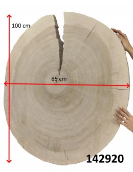 PLASTER DREWNA TOPOLI BLAT UNIKAT 142920 - product 2