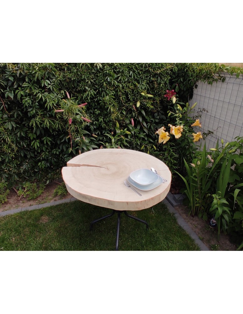 Plastry Okrągłe - PLASTER DREWNA TOPOLI BLAT UNIKAT 142920 - product b2b.wamar.biz 7