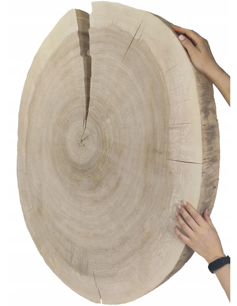 Plastry Okrągłe - PLASTER DREWNA TOPOLI BLAT UNIKAT 142920 - product b2b.wamar.biz 8