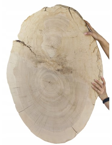 PLASTER DREWNA TOPOLI BLAT UNIKAT 143337