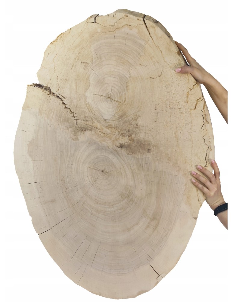 Plastry Okrągłe - PLASTER DREWNA TOPOLI BLAT UNIKAT 143337 - product b2b.wamar.biz 1