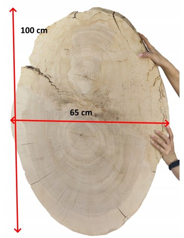 PLASTER DREWNA TOPOLI BLAT UNIKAT 143337 - product 2