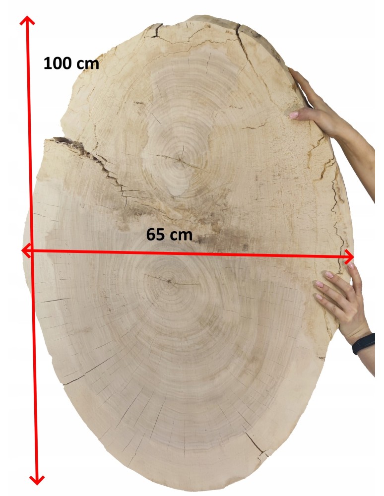 Plastry Okrągłe - PLASTER DREWNA TOPOLI BLAT UNIKAT 143337 - produkt b2b.wamar.biz 2