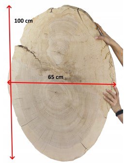 PLASTER DREWNA TOPOLI BLAT UNIKAT 143337 - product 2