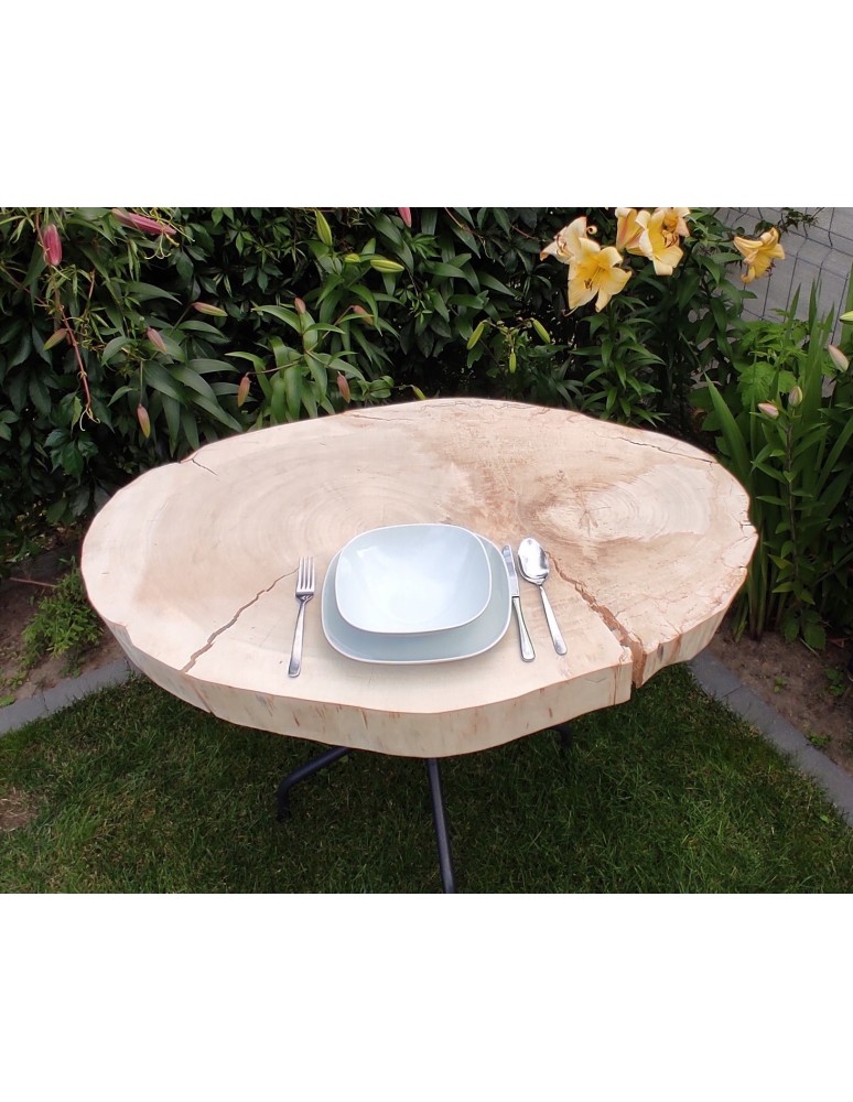 Plastry Okrągłe - PLASTER DREWNA TOPOLI BLAT UNIKAT 143337 - produkt b2b.wamar.biz 5