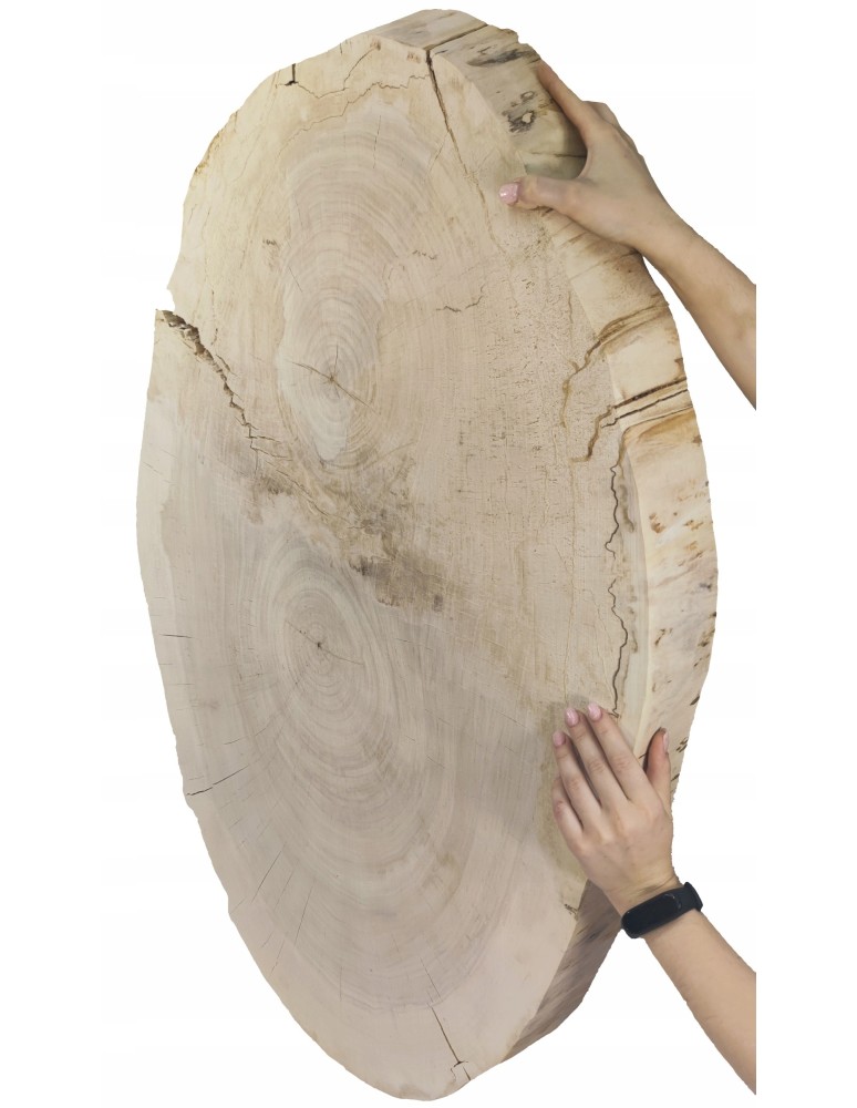 Plastry Okrągłe - PLASTER DREWNA TOPOLI BLAT UNIKAT 143337 - produkt b2b.wamar.biz 6