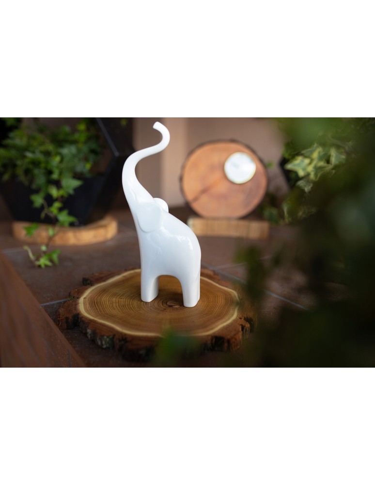 Plastry Okrągłe - PLASTER DREWNA TOPOLI BLAT UNIKAT 143337 - produkt b2b.wamar.biz 7