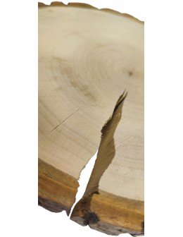 PLASTER DREWNA TOPOLA 15-20 cm z korą gr 3,0 cm - product 2