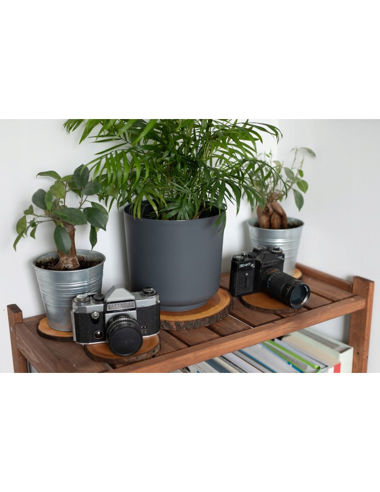 Plastry Okrągłe - PLASTER DREWNA TOPOLA 15-20 cm z korą gr 3,0 cm - produkt b2b.wamar.biz 9