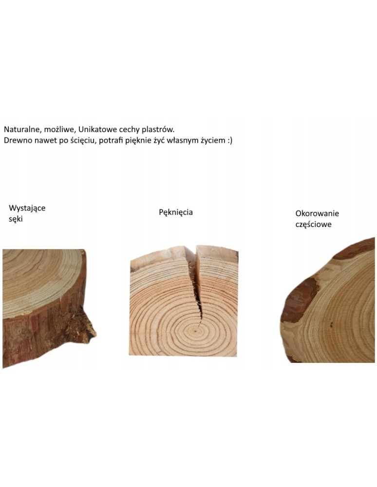 Plastry Okrągłe - PLASTER DREWNA TOPOLA 20-25cm gr 3,0cm - product b2b.wamar.biz 10