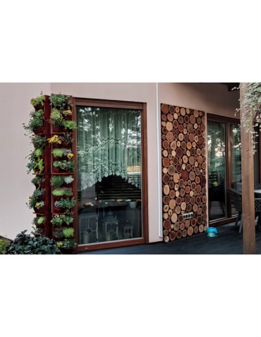 Plastry Okrągłe - PLASTER DREWNA 30-35 cm Z KORĄ krążek drewna - product 5