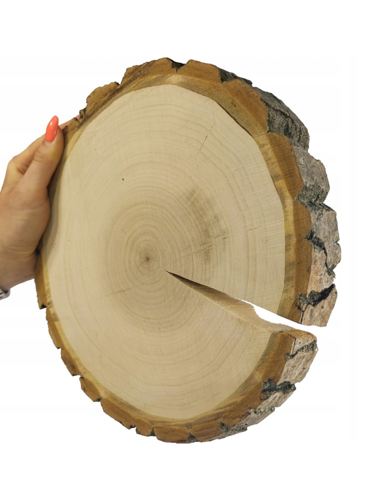 Plastry Okrągłe - PLASTER DREWNA 25-30 cm krążek drewniany z korą - product b2b.wamar.biz 1