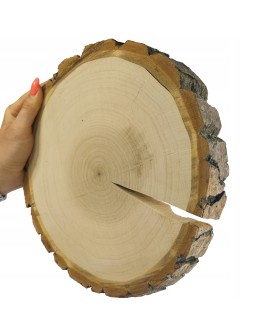 PLASTER DREWNA 25-30 cm krążek drewniany z korą