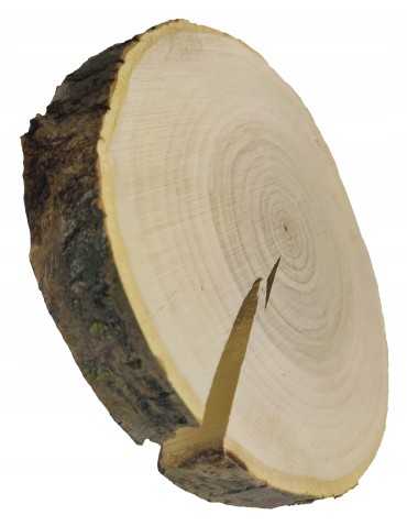 Plastry Okrągłe - PLASTER DREWNA 25-30 cm krążek drewniany z korą - product 3