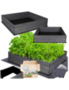 Skrzynia na warzywa skrzynie na warzywniak inspekt donica grządka 27x120x120