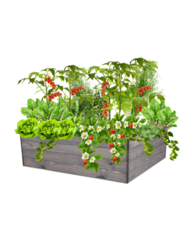 Uprawowe skrzynie ogrodowe- Warzywniaki- skrzynia do uprawy - Skrzynia na warzywa skrzynie na warzywniak inspekt donica grządka 36x120x117 - product 15