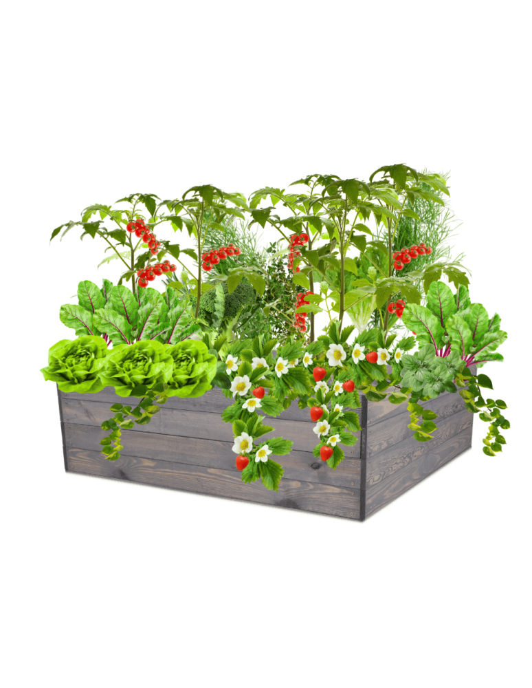 Uprawowe skrzynie ogrodowe- Warzywniaki- skrzynia do uprawy - Skrzynia na warzywa skrzynie na warzywniak inspekt donica grządka 36x120x117 - product b2b.wamar.biz 15